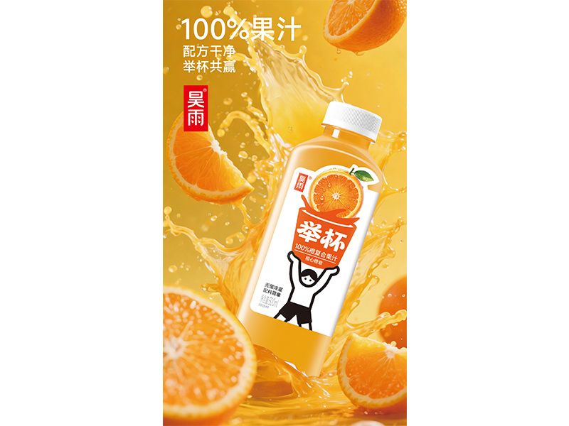 500ml举杯橙子100%果汁