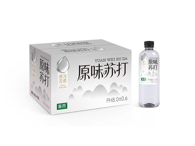 600ml苏打水原味